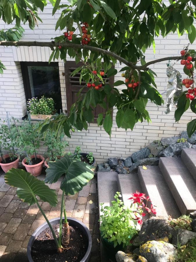 Ferienwohnung Am Weiltalradweg Weinbach Екстериор снимка